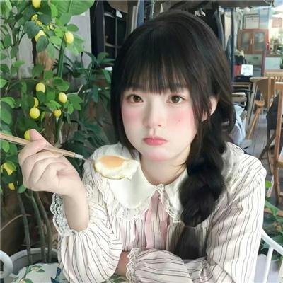 三只流浪猫